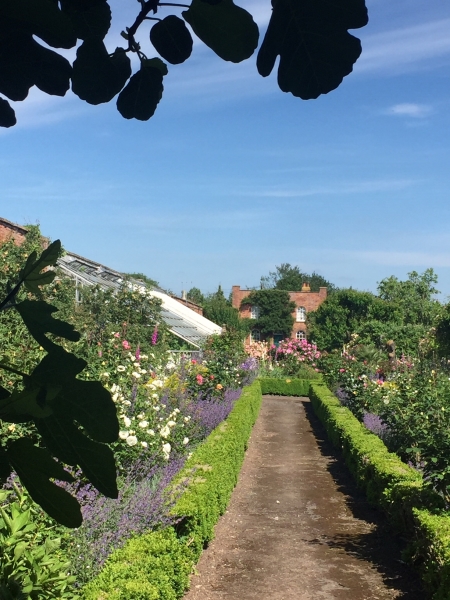 Flintham Hall Gardens